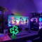 Green Clover Neon Sign Light – USB & Battery Powered Summer Tabletop Lamp for Bedroom, Bar, or Outdoor Vibes